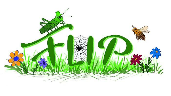 Logo FLIP